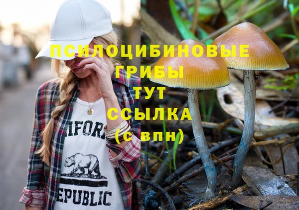 бутират Алексин